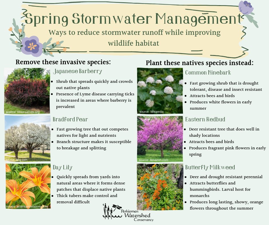 Spring Stormwater Management Tips