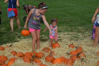 Pumpkin patch at the Fall Festival.