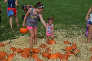 Fall Festival pumpkin patch