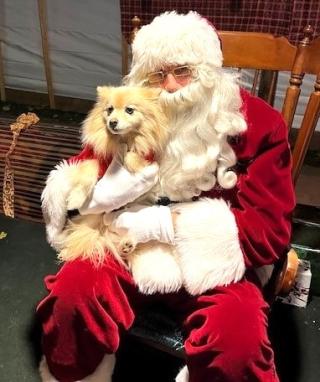 Pet Photos with Santa Dec. 5, 6 to 8 PM