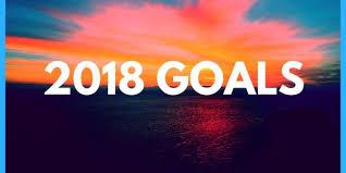 2018 Goals