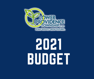 2021 Budget graphic