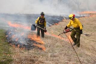 Valley Forge Park Prescribed Fire