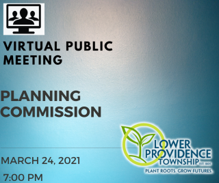 Virtual Planning Commission Meeting March 24, 2021