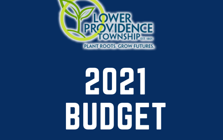 2021 Budget graphic