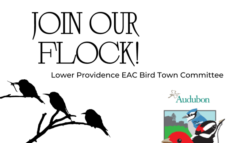 EAC Bird Town Committee