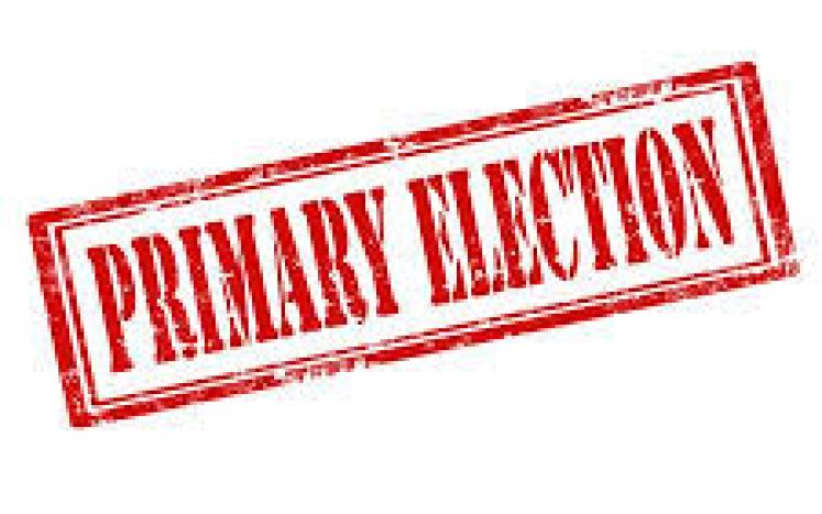 Primary Election graphic
