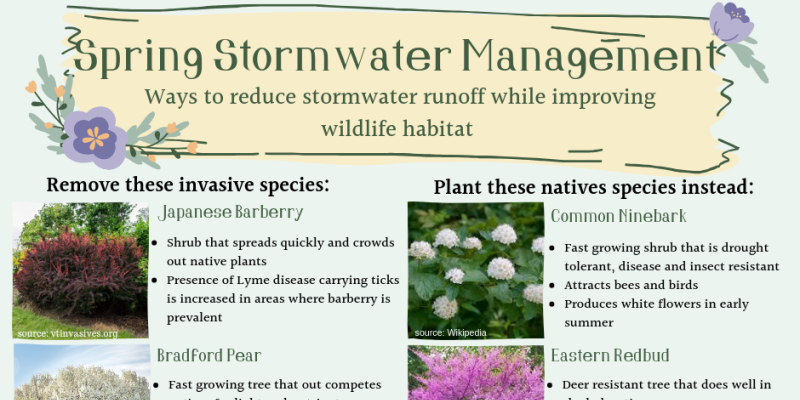 Spring Stormwater Management Tips